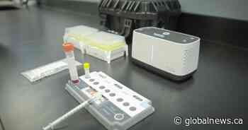 Saskatchewan to roll out COVID-19 rapid testing for province’s schools