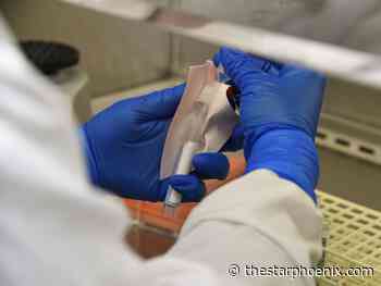 Rapid COVID-19 testing could start in Saskatchewan schools this week