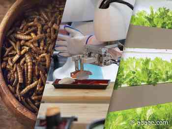 From seasoned worms to vertical farms, there are plenty of food trends to watch in 2021