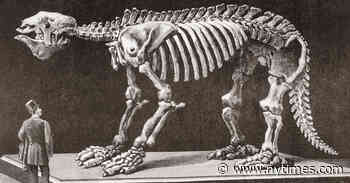 Decolonizing the Hunt for Dinosaurs and Other Fossils