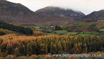 Bill tabled at Stormont to set 2045 target for net zero carbon emissions