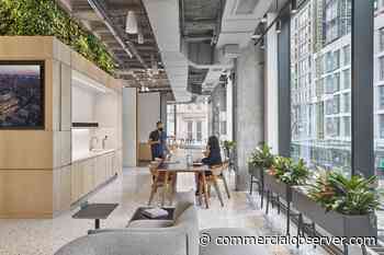 Architecture Firm Perkins & Will Builds an Airy New Studio in Midtown South - Commercial Observer