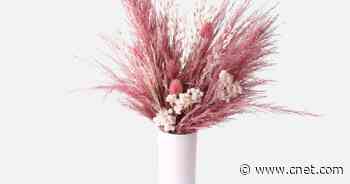 The best flower delivery services for Mother's Day in 2021     - CNET