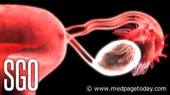 Androgen Receptor Inhibitor Active in Endometrial Cancer