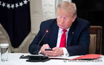 Trump plans social media return with his own platform