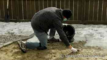 Saskatoon Poo Crew struggling to find employees amid COVID-19 relief payments