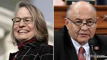 Moderate Democrats warn leaders against meddling in Iowa race
