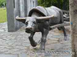 Amazon Aktie: Bei diesen Aktien sind Top-Analysten stark bullish! - Finanztrends