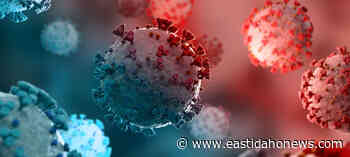 EIPH identifies two coronavirus variants in the district; recommends ongoing precautions - East Idaho News