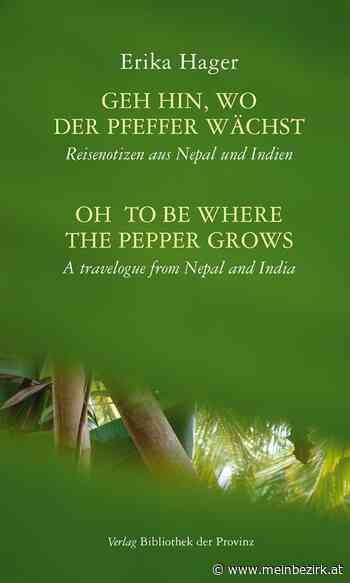 Fortsetzungsroman: Geh hin, wo der Pfeffer wächst – Teil 13 - Neunkirchen - meinbezirk.at