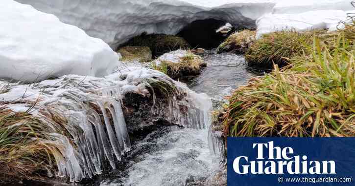 Country diary: the strange beauty of water caught between frost and thaw