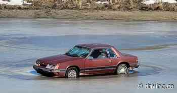 Saskatoon fundraiser taking bets on when Mustang will sink into a lake - Driving