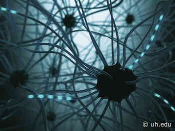Focusing on the Unhealthy Brain to Speed Drug Discovery - University of Houston