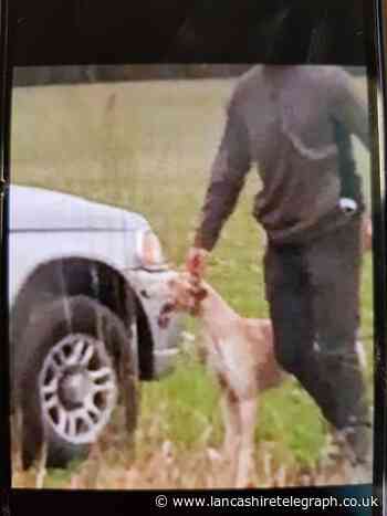 Man summonsed to court over poaching offences after police catch him in muddy field