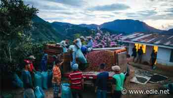 Carbon-neutral coffee and water-efficient farms: Starbucks plots path to 'resource positivity'