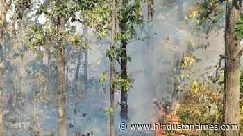 6,520 forest fires scorch Chhattisgarh in last 37 days - Hindustan Times