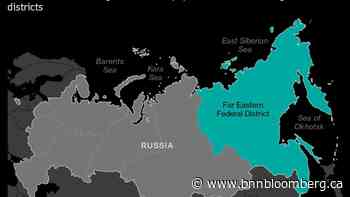 Russia Wants to Use a Forest Bigger Than India to Offset Carbon - BNN