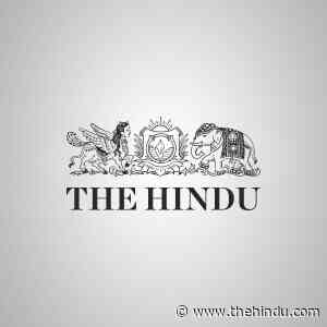 Forest Dept. to make one final effort to drive Rivaldo back into the wild - The Hindu