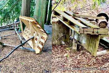 Vandals trash Langley Forest School – Aldergrove Star - Aldergrove Star