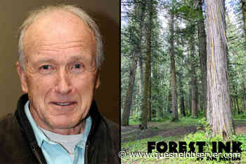 FOREST INK: Lessons from minimalism – Quesnel Cariboo Observer - Quesnel Cariboo Observer