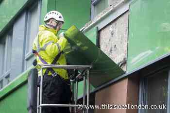 Calls grow for cladding taskforce to tackle crisis