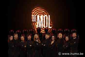 Mollenjagers, opgelet: met deze vier tips herkent u de ideale mol! - Humo The Wild Site