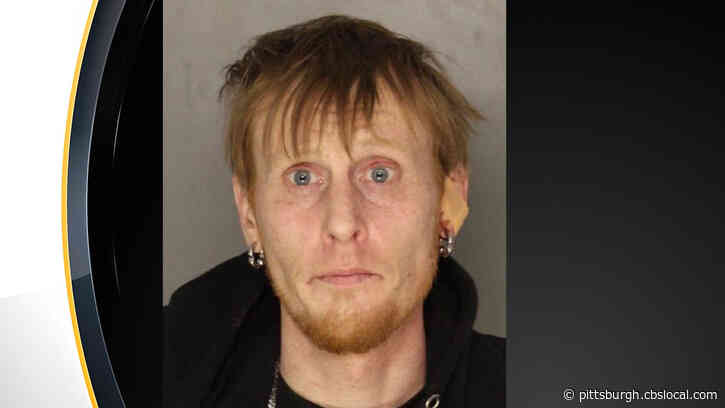 Man Accused Of Fleeing After Assaulting Police Officer, Apprehended By K9
