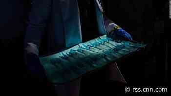 Here's how much vaccines are selling for on the illegal market