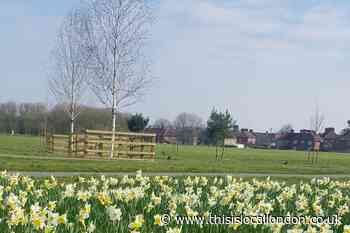 Coronavirus: Sutton announce plans for garden of reflection