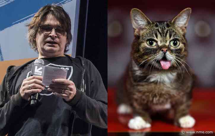 Steve Albini pays tribute to Lil Bub in new book celebrating internet-famous cat’s musical legacy