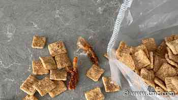 Man Claiming He Found Shrimp in Cinnamon Toast Crunch Worried About Poison