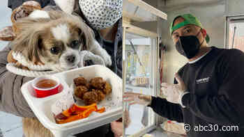 Woofbowl serves dogs a unique and tasty meals using organic and healthy ingredients