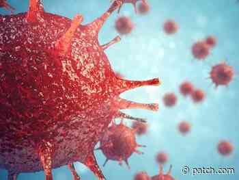 Coronavirus New York Variant Found In CT: Report - Patch.com