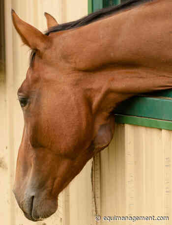 Warmblood Mare Confirmed with Equine Strangles in Rhode Island - Equi Management