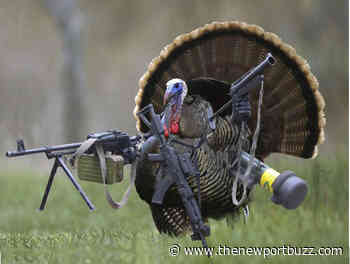 Rhode Island Spring Turkey Hunting Permits Available Beginning April 1 - Newport Buzz