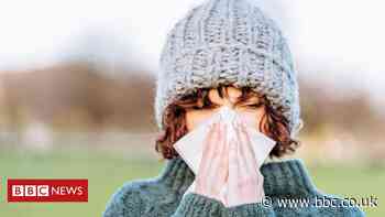 Coronavirus: How the common cold can boot out Covid