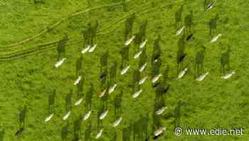 Meat giant JBS commits to net-zero emissions and zero deforestation