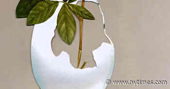 Book Review: ‘Life’s Edge,’ by Carl Zimmer