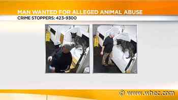 Reward offered to help find man accused of beating his dog