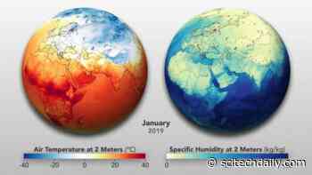 Does COVID-19 Have Seasons? An Update With the Latest From the World Meteorological Organization