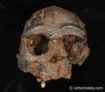 New DNA Evidence in Search for the Mysterious Denisovans