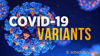 Supercomputer Analysis Reveals Why UK, South Africa Coronavirus Variants Are More Contagious, Deadly