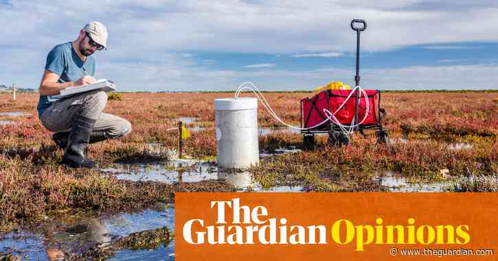 Scientists need to face both facts and feelings when dealing with the climate crisis | Kimberly Nicholas