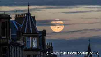 Full Worm Moon THIS weekend - how to see it in Hertfordshire