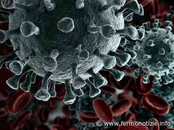 Focolaio Covid-19, sospese temporaneamente le attività del Tribunale di Fermo - Fermo Notizie - Fermo Notizie