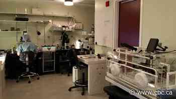 Atlantic Canadians no longer need to leave region to find an anonymous egg donor