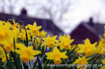 Nine amazing pictures showing spring in Warrington