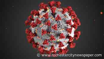 Two variants of COVID-19 found in Monroe County