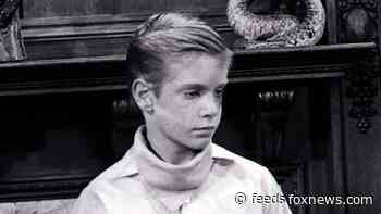 Kim Tyler, ‘Please Don’t Eat the Daisies’ child star, dead at 66