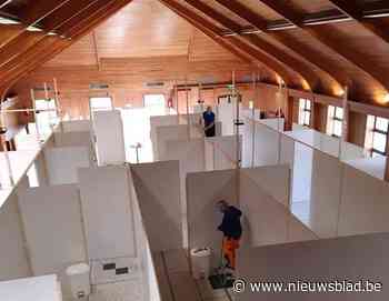 Oplossing gevonden voor verenigingen die door vaccinatiecentrum in Complex Zijp hun plekje kwijt zijn - Het Nieuwsblad